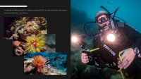 Divevolk - SL50 Video light