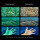 DIVEVOLK - Seatouch 6 Pro - Smartphonegehäuse - Schwarz