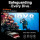 DIVEVOLK - Seatouch 6 Pro - Smartphonegehäuse - Schwarz